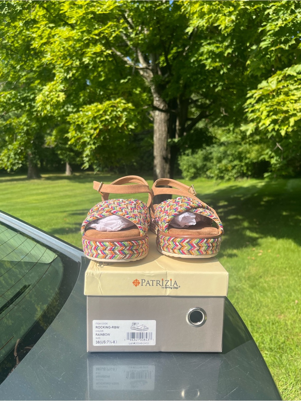 Patrizia Rainbow Braided Platform Sandals - Multicolor